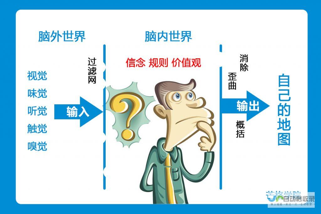 从概念到实施：深入探索动态网站设计的策略与技术