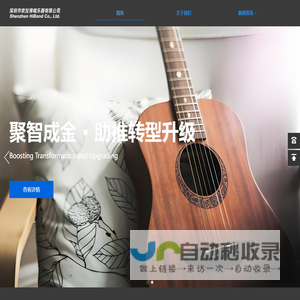 深圳市吹拉弹唱乐器有限公司